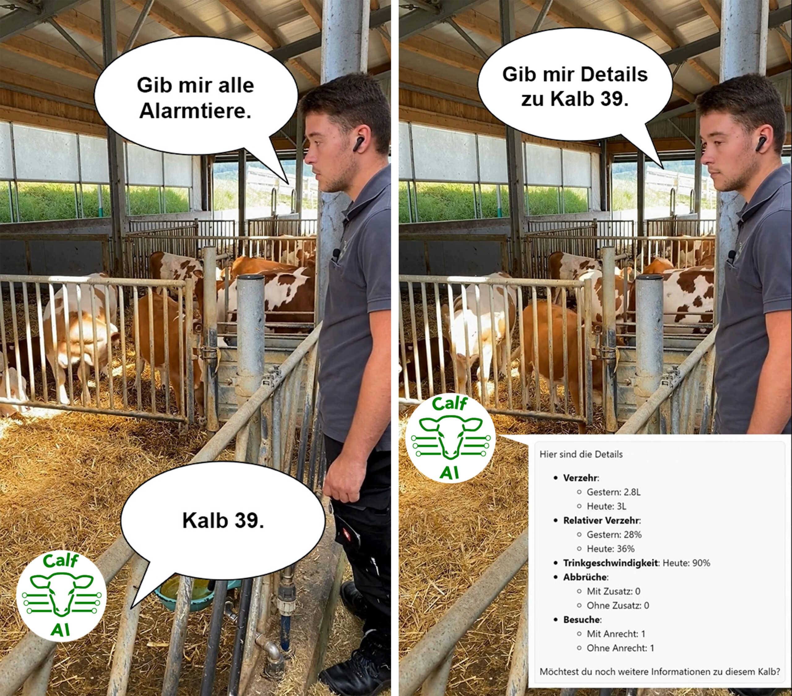 01_Calf AI